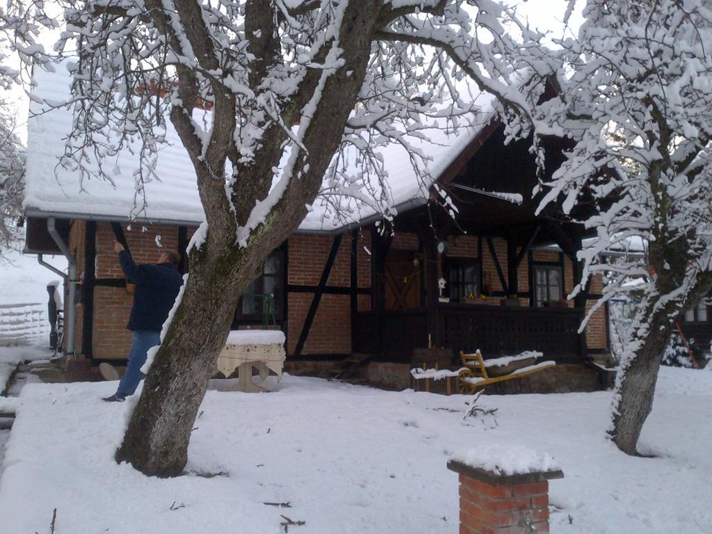 Country House Stoljetna Vila Seona Exterior photo