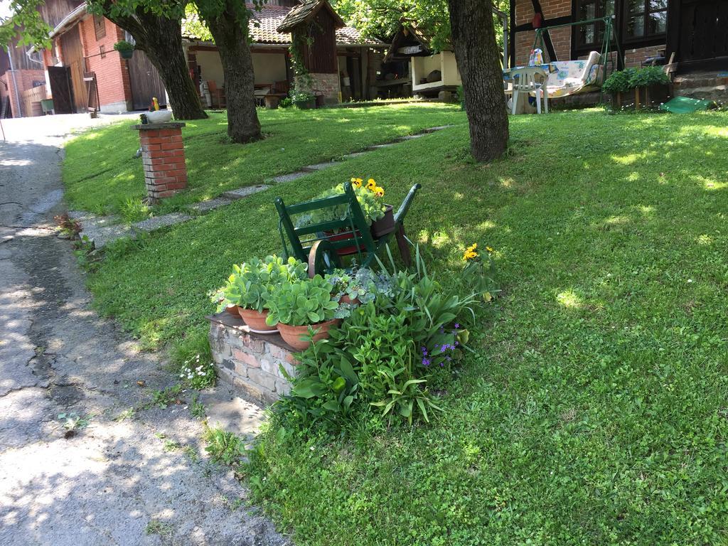 Country House Stoljetna Vila Seona Exterior photo